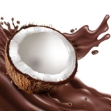 Chocolate Coconut Shake Bottle